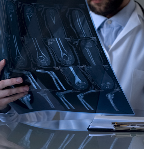 Alvarez & Marsal Capital MultiStrategy Private Equity Investments